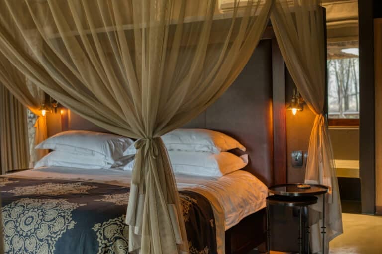 3 Day Dulini Leadwood Lodge Safari